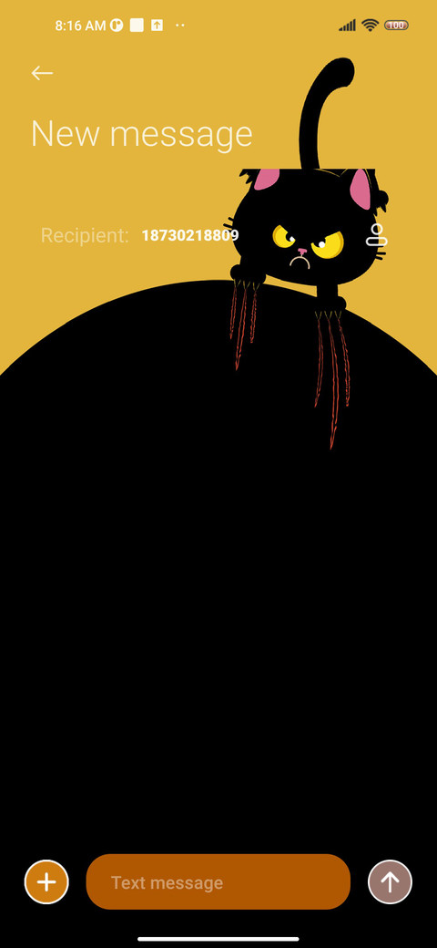 Angry Black Cat screenshot