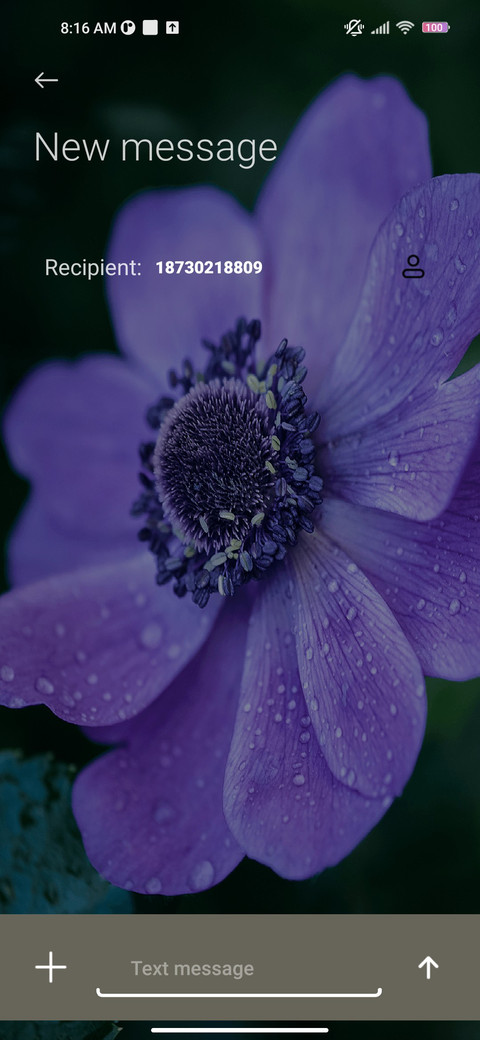Vinca blue screenshot