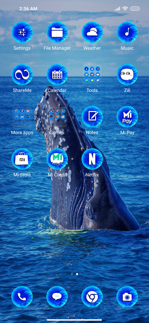 Whale quad screenshot