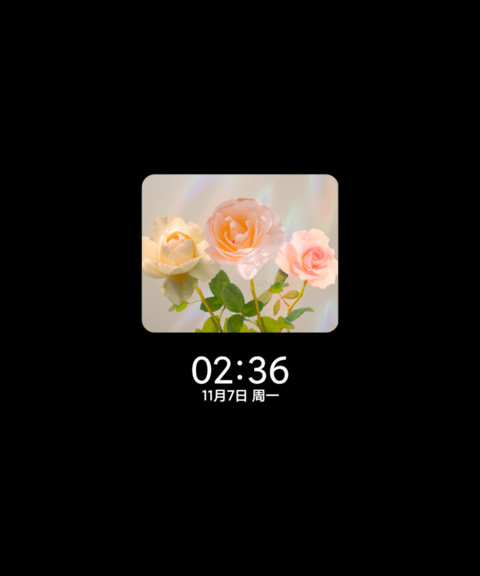 玫瑰组件 午后惬意 screenshot
