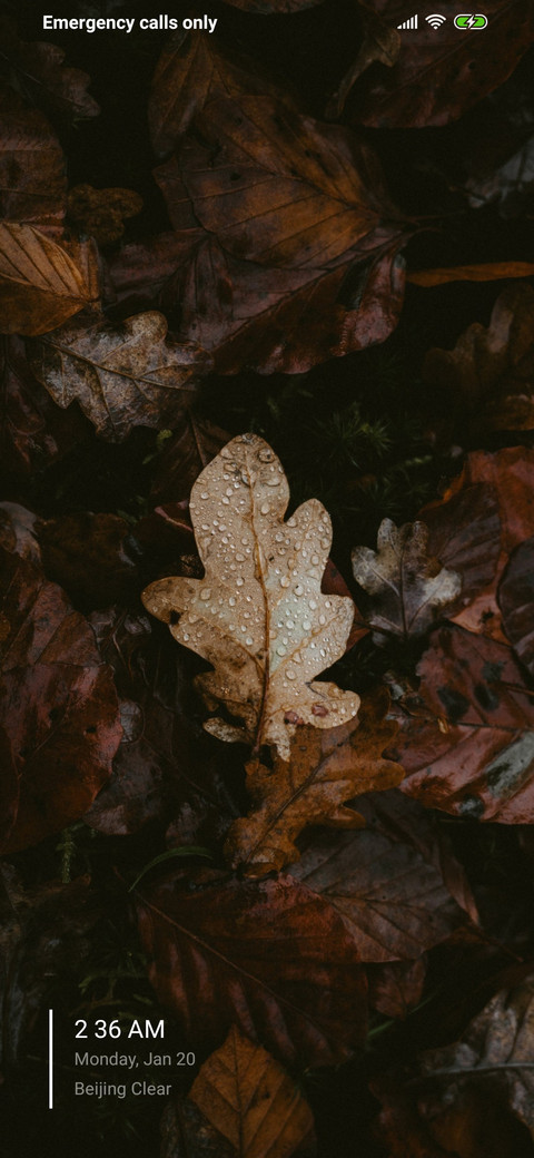 Leaves 2 screenshot