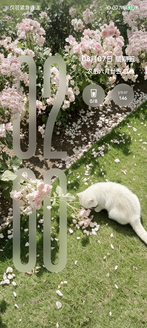 春野有猫 繁花为伴 screenshot