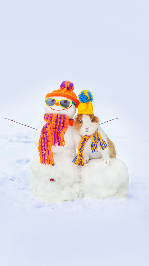 Little rabbit in a hat with funny dressed snowman screenshot