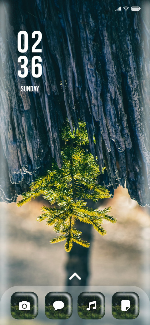 Pine_One screenshot