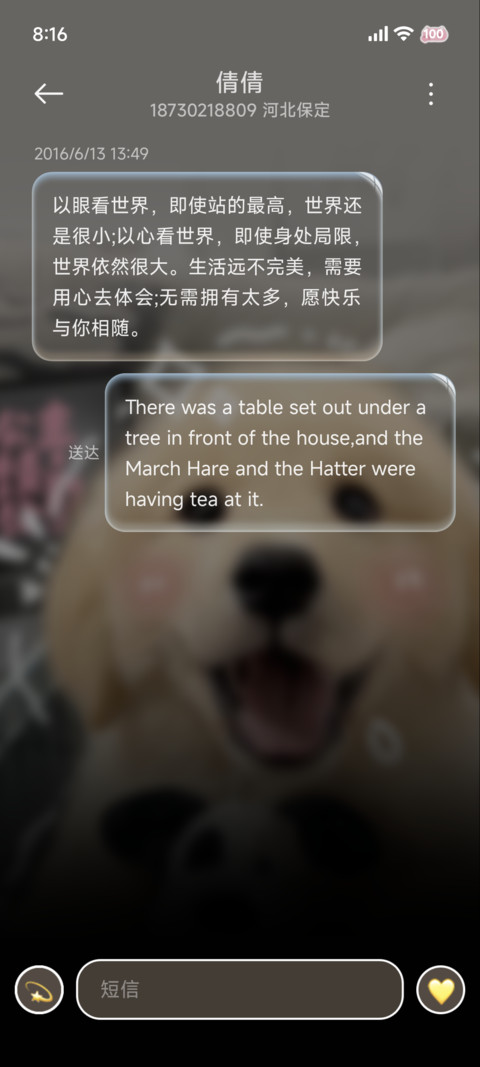 治愈发财金毛 screenshot