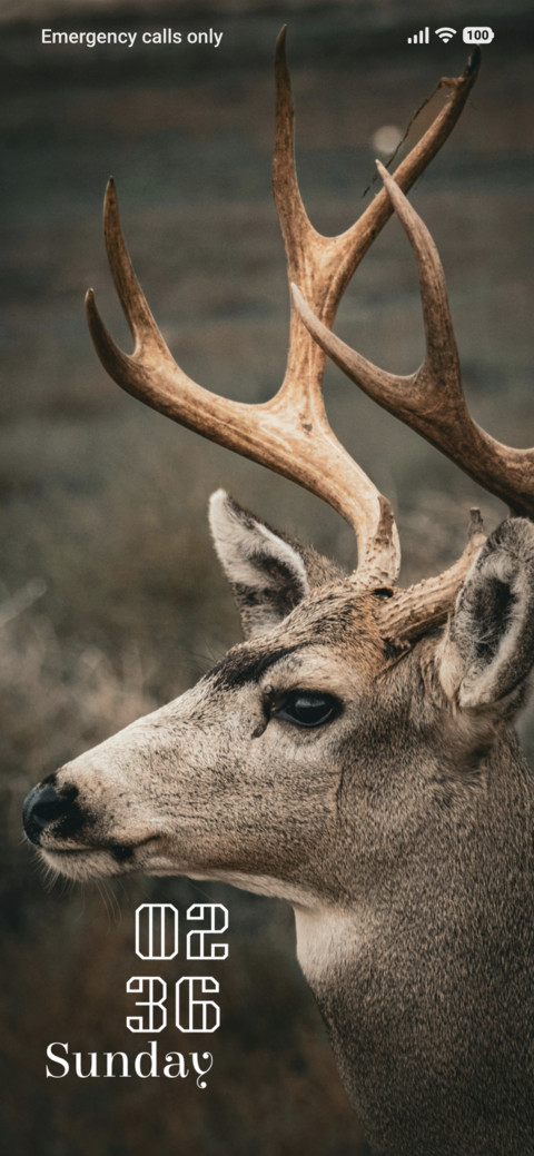 Antler Grace screenshot