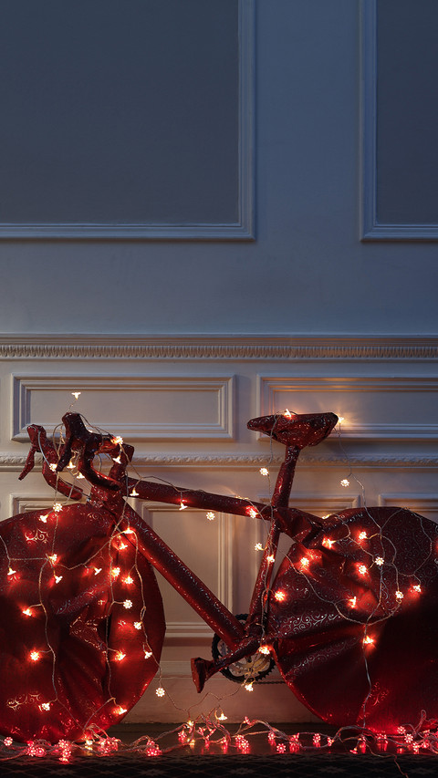 International-bicycle screenshot