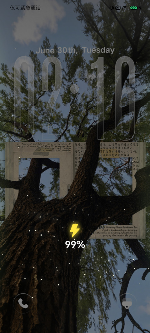 树影里的信 screenshot