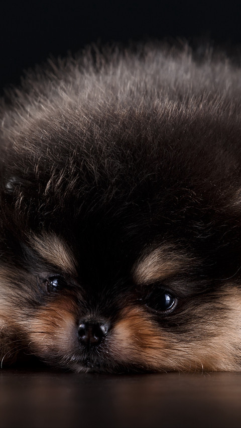 112360_1440x2560.jpg screenshot
