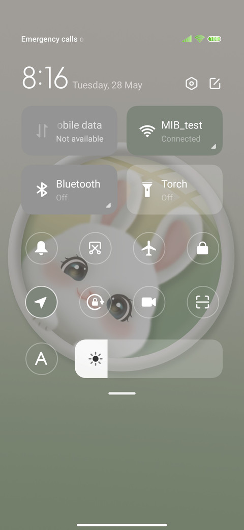 Probe rabbit screenshot