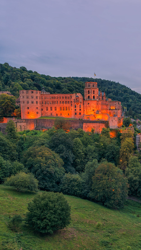 Night view of Heidelberg Castle in Germany screenshot