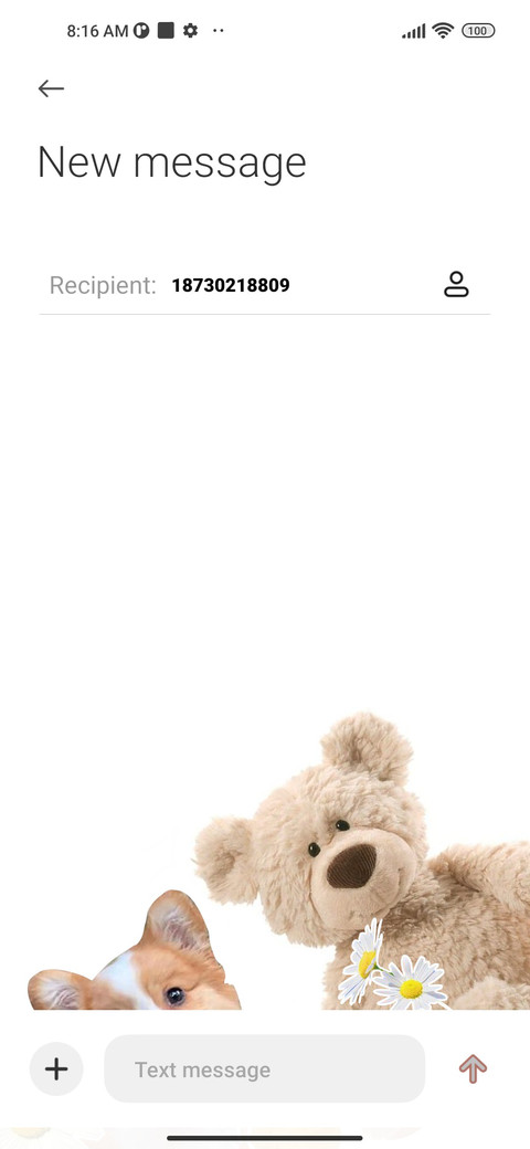 Happy Bear screenshot