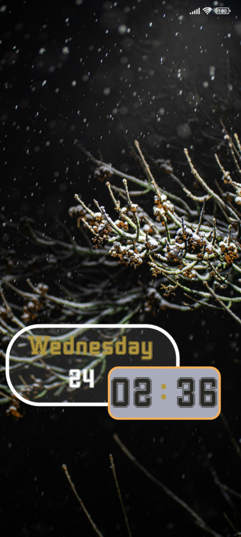 Winter Dreams screenshot