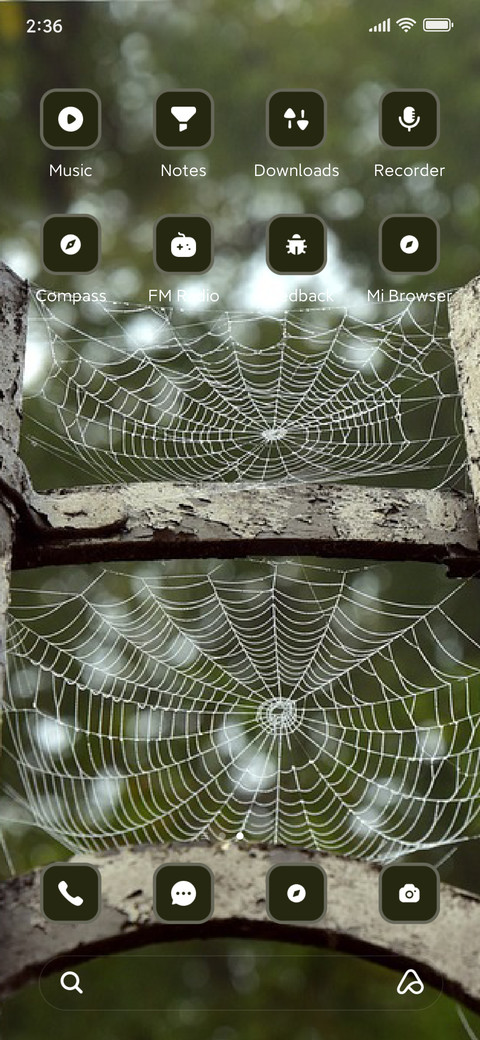 Spider Web screenshot