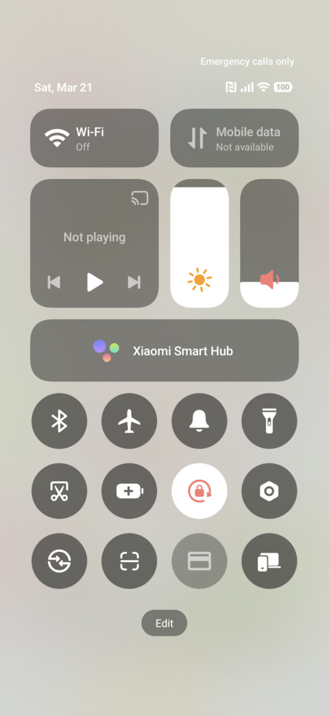 Melon Cat Sticker screenshot