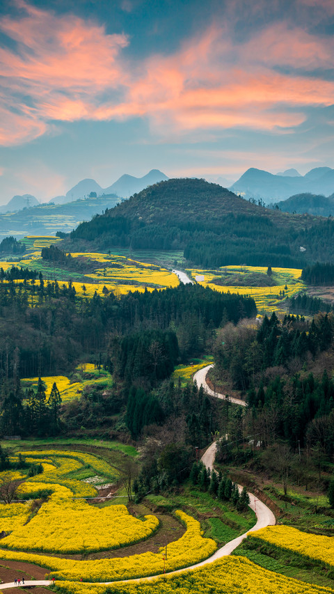 Rapeseed Flower Fields in Luoping, Yunnan screenshot