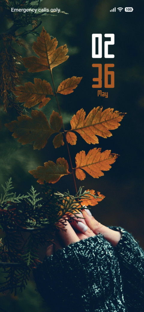 Forest screenshot