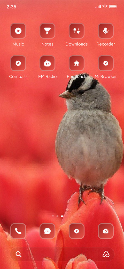 Bird screenshot