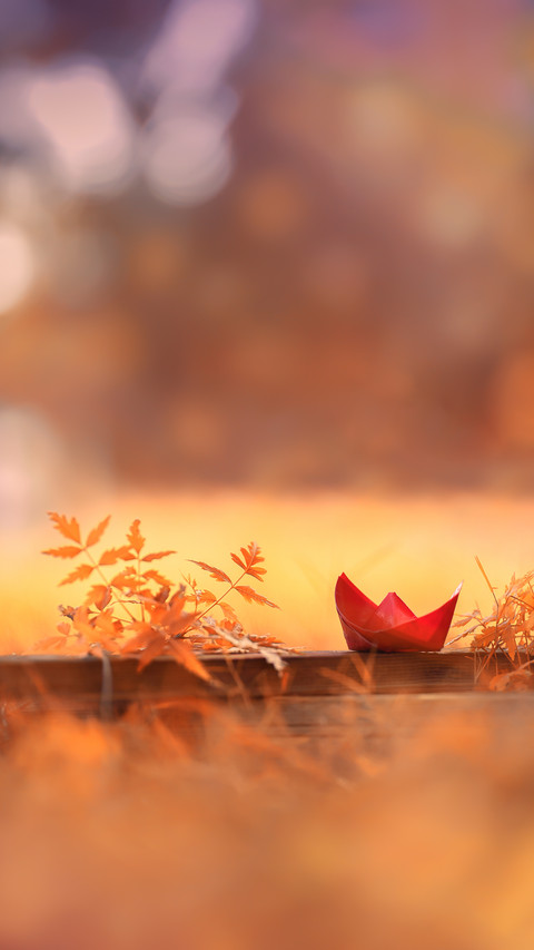 Autumn Vibes with Lovely Toys screenshot