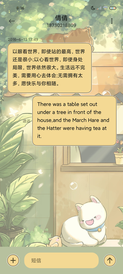 午后阳光 治愈猫咪 screenshot