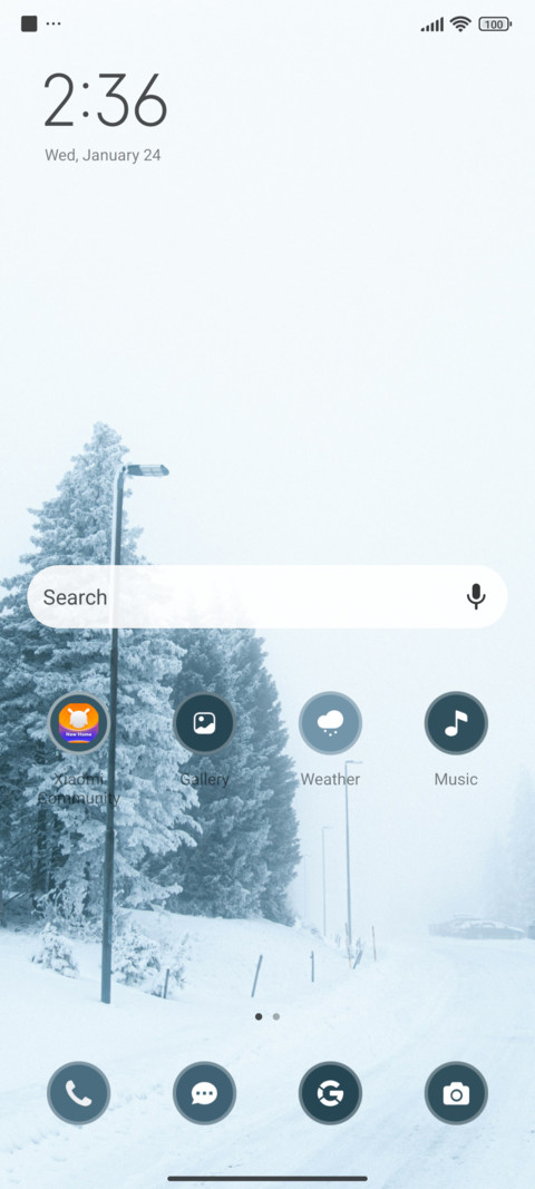 Winter View screenshot