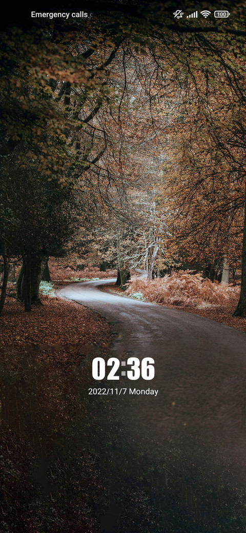 Beauty is simple screenshot