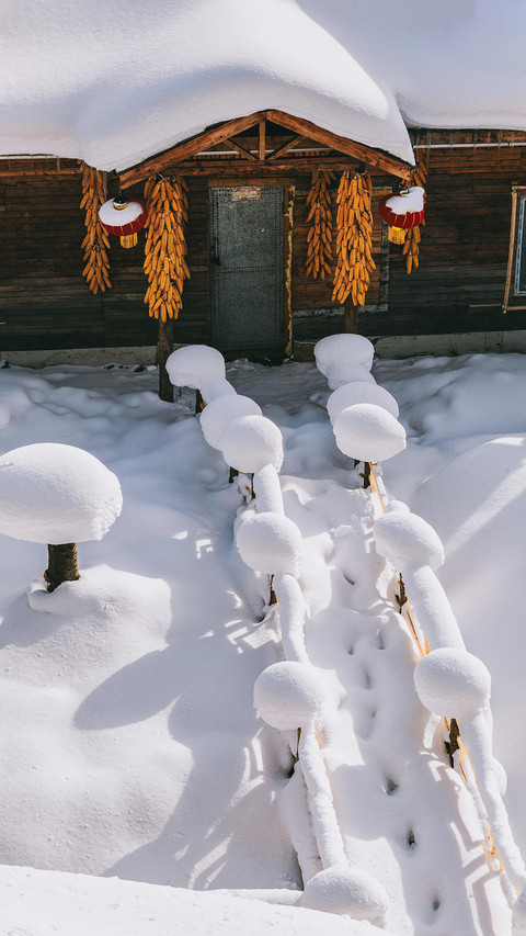 美丽的中国雪乡 screenshot