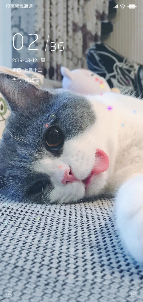 猫猫咪鸭 screenshot