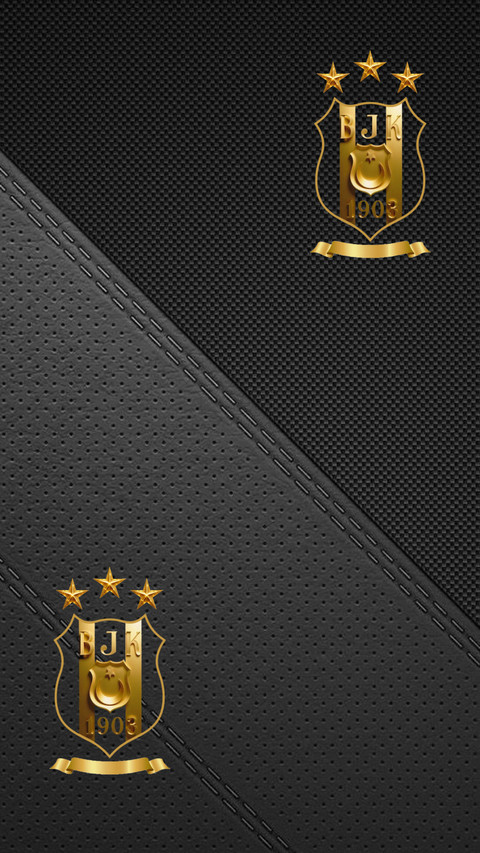 BJK-20 screenshot