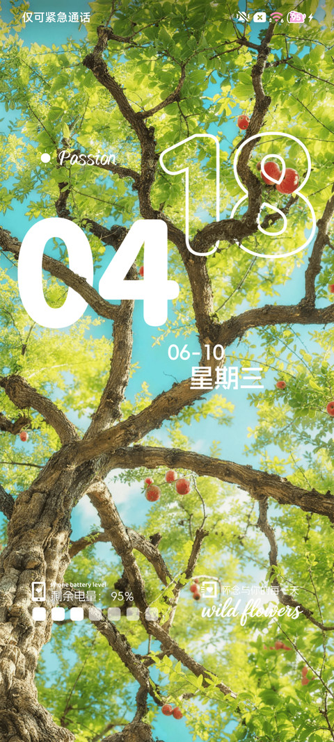 ins花与果实与风 screenshot