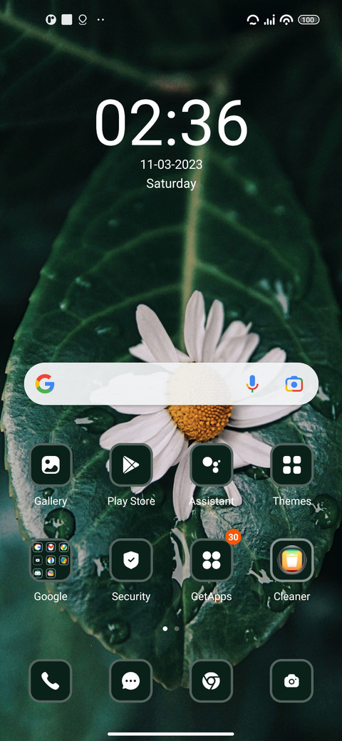 Leaf screenshot