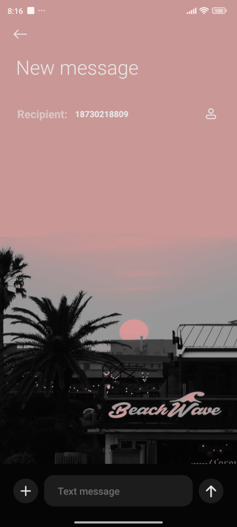 Sunset coconut  screenshot
