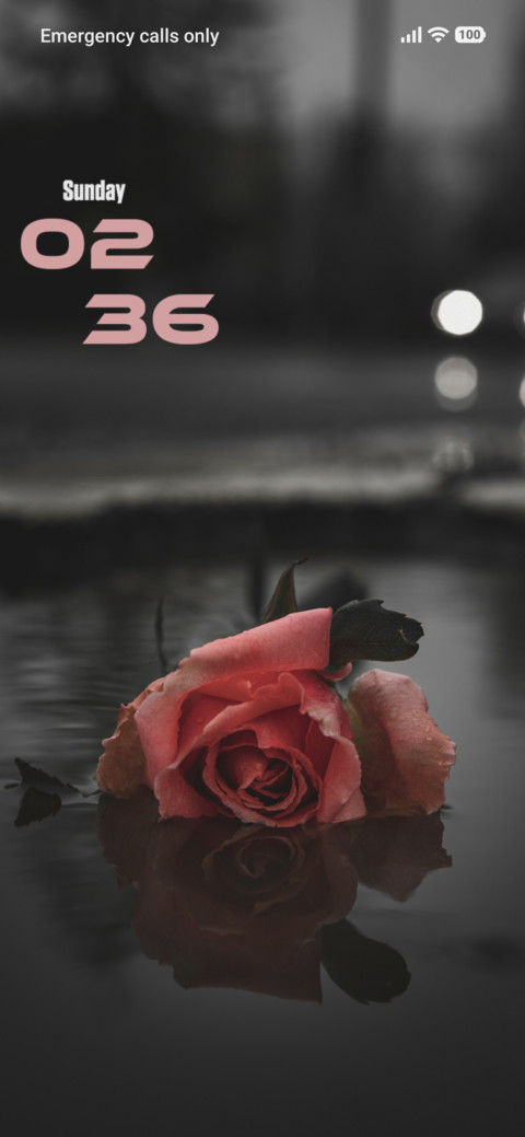 Orange Rose screenshot