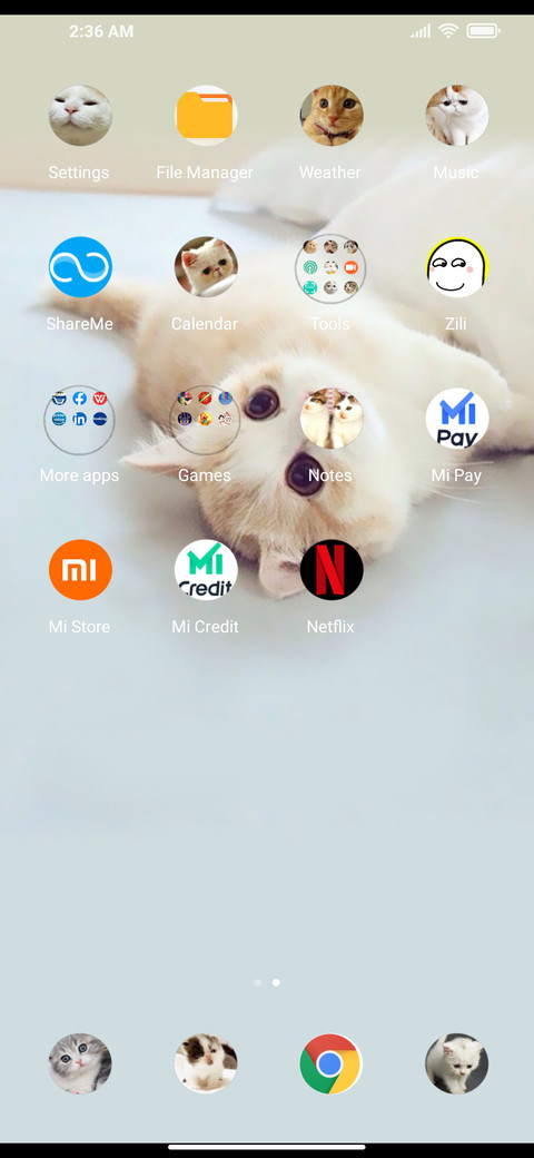 Cute cat screenshot