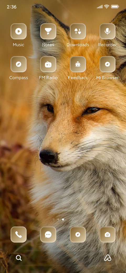 Fox screenshot