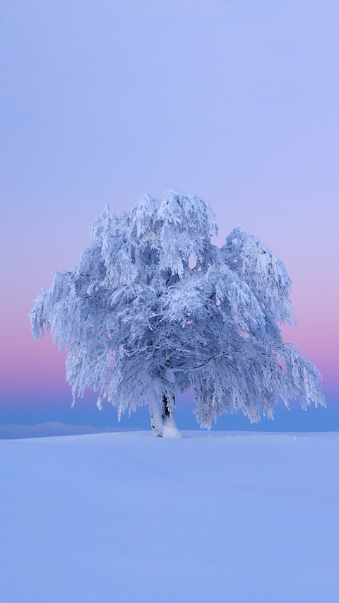 Magnificent natural wonders screenshot