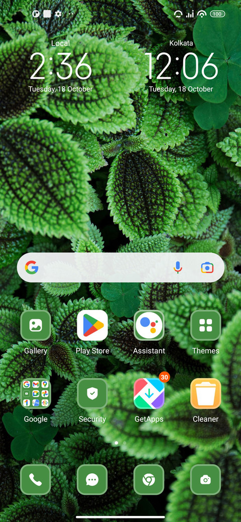Green Leaf screenshot