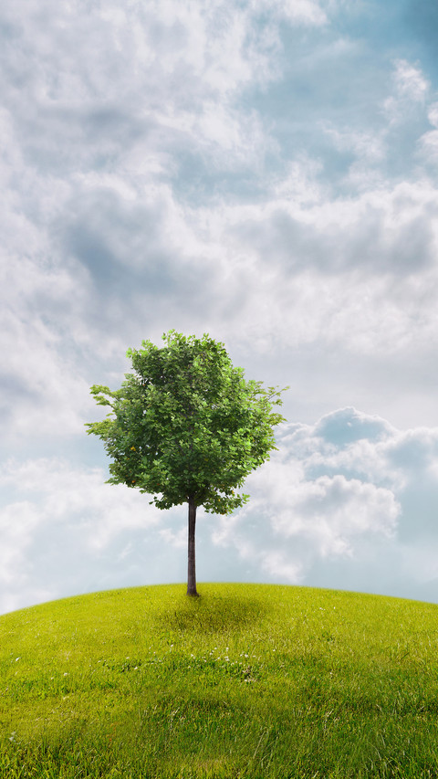 Green grass and blue sky screenshot