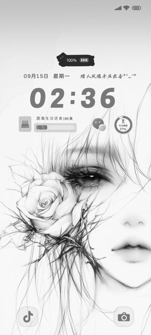 素描玫瑰过往 screenshot
