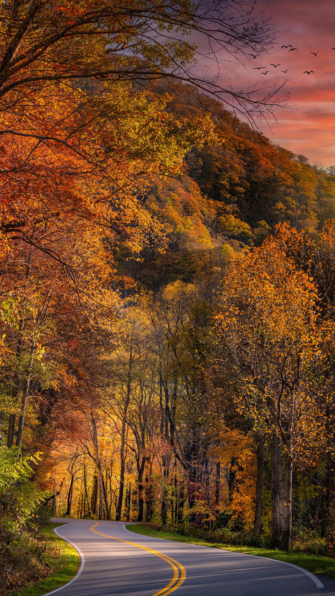 Road traveling through smoky mountains screenshot