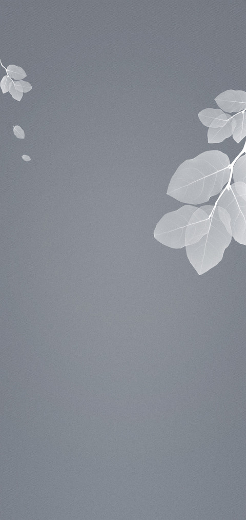 风桦 screenshot