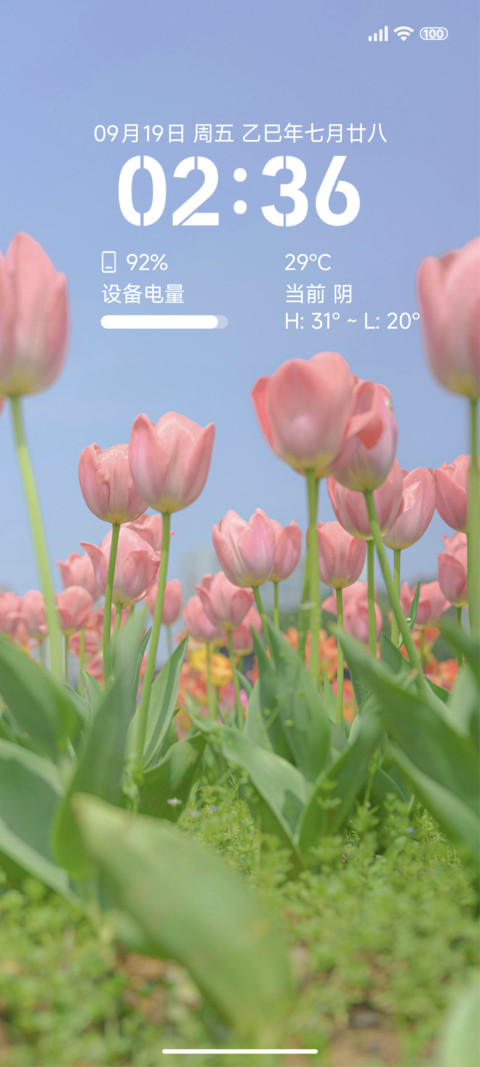 flower screenshot