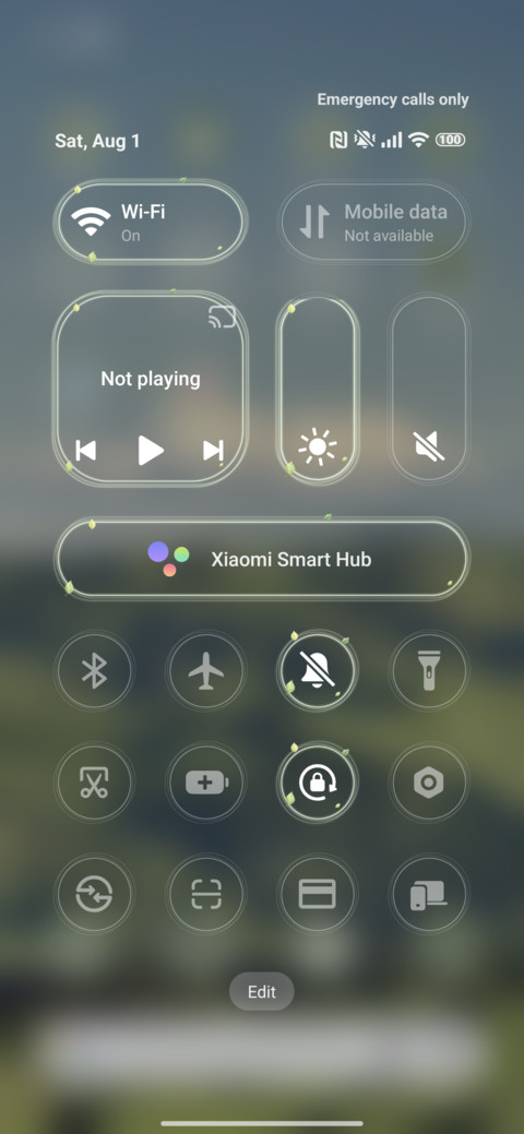 Green screenshot