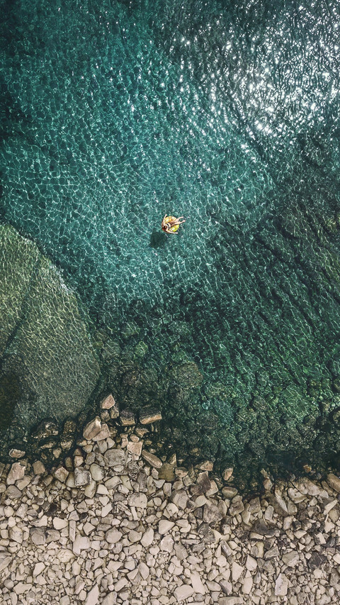 iOS sparrow 麻雀 screenshot