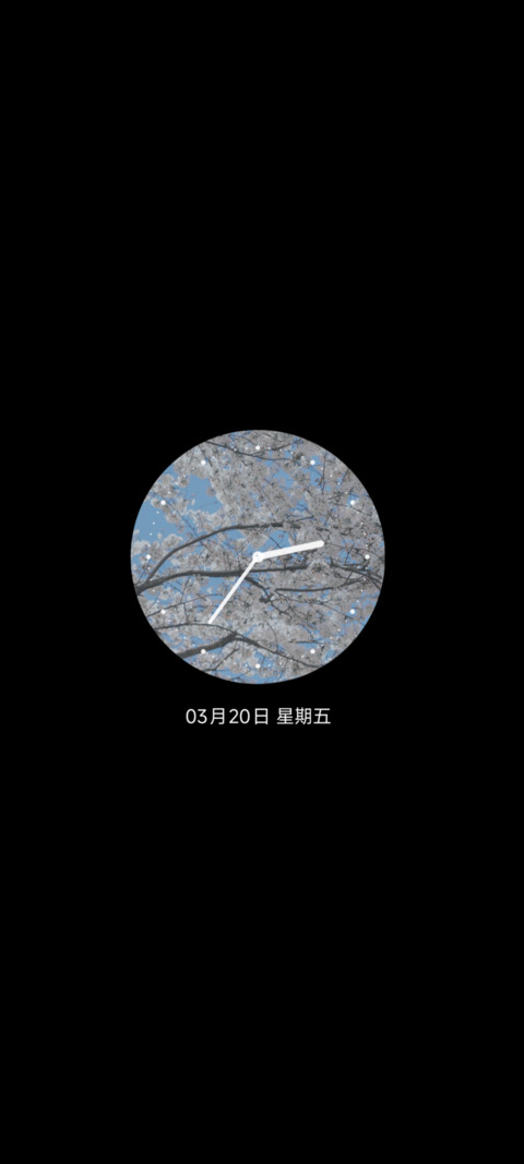 樱花树下 风也温柔 screenshot