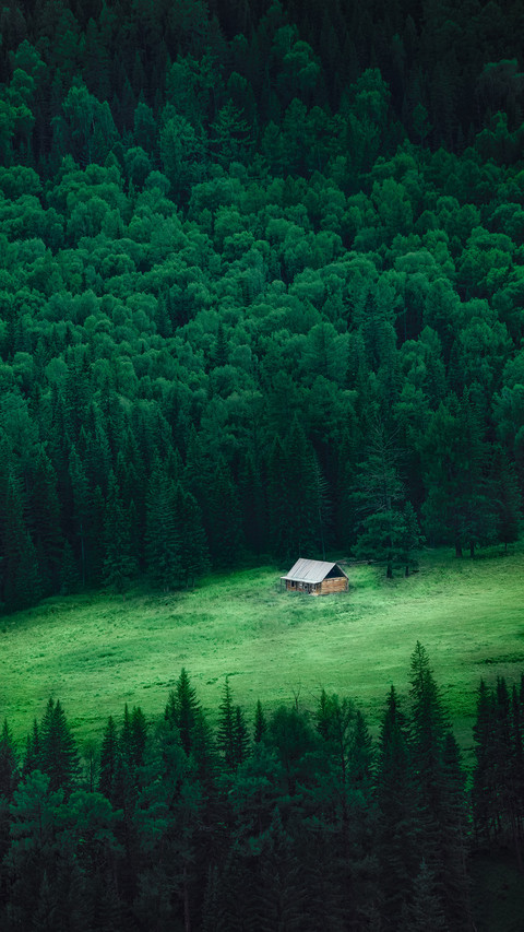 Wooden Houses in Kanas, Xinjiang, China screenshot