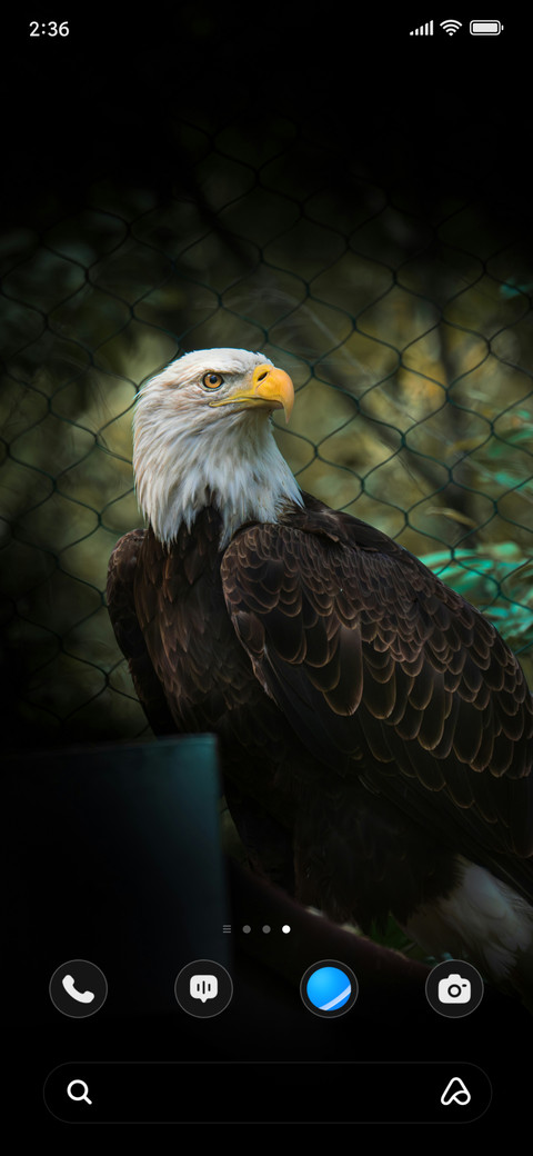 Eagle Watch screenshot
