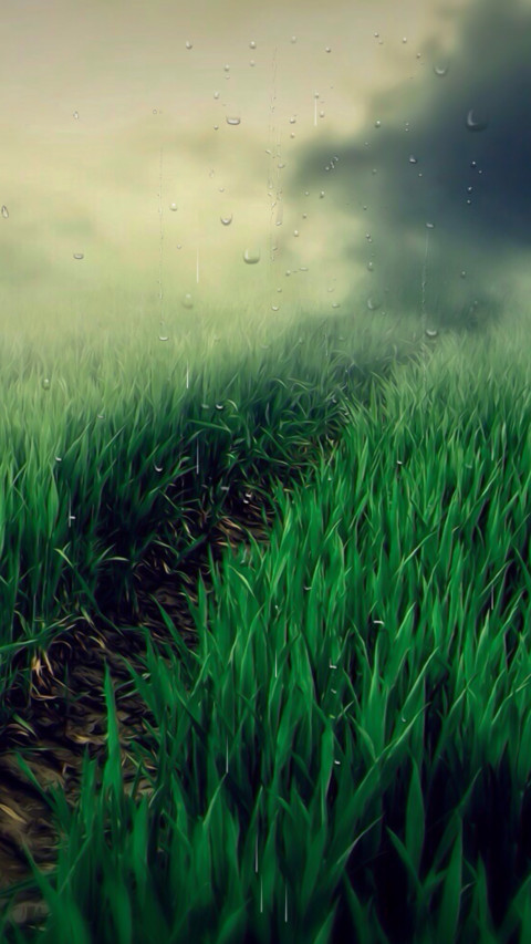 麦田 screenshot
