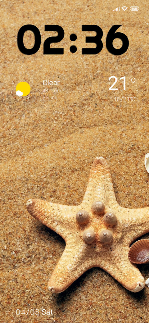 beach starfish screenshot