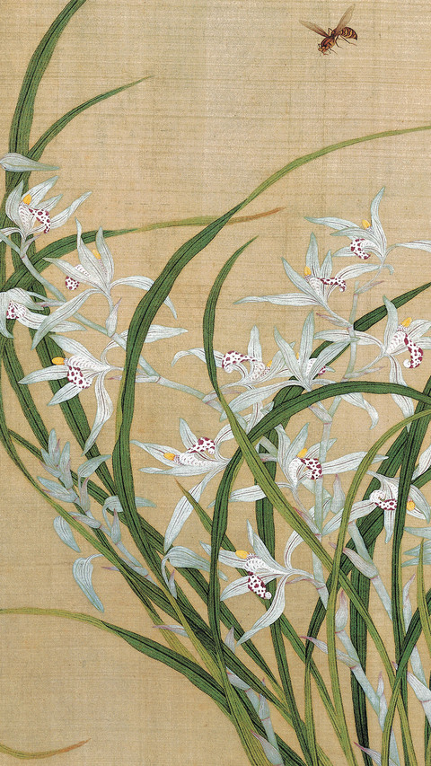 余稚花鸟  余味悠长 screenshot
